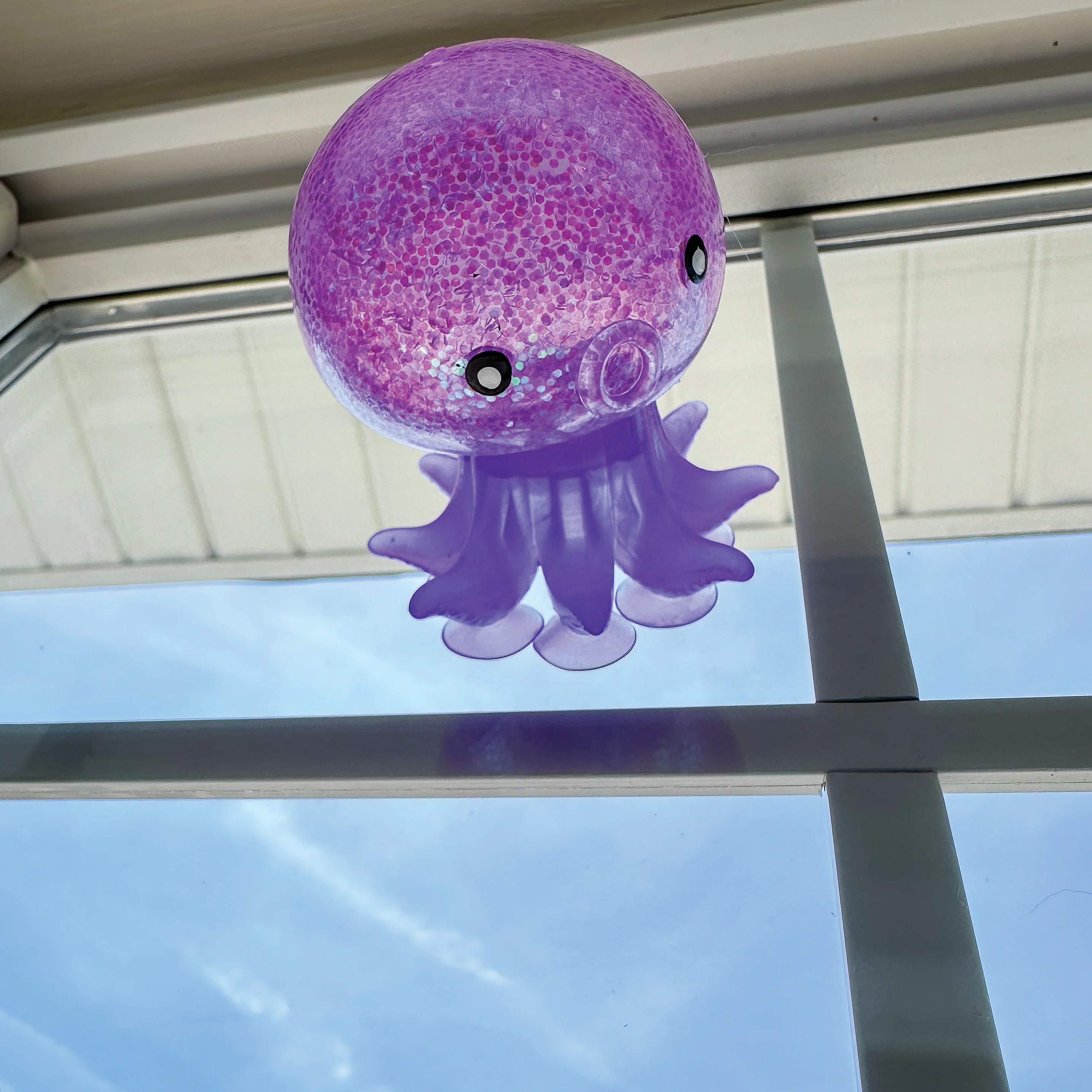 Octopus Sucker Toys - Image 10